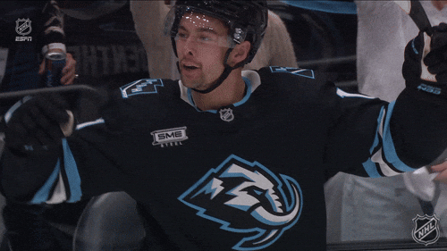 Happy Celebration GIF by NHL