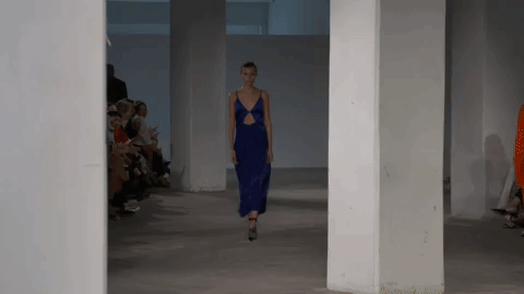 dion lee GIF