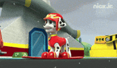 nickjr snow snowboard struggle marshall GIF