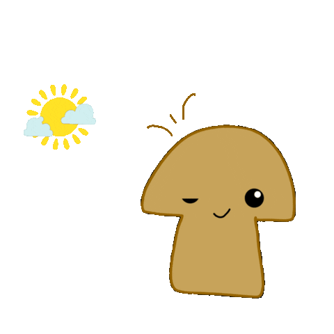 musshylifestyle sun morning goodmorning sunny Sticker