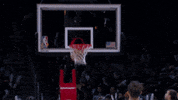 GIF by NBA
