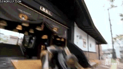train station cat GIF by Cheezburger