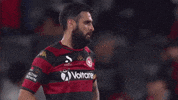 Western Sydney Wanderers Hand Shake GIF by wswanderersfc