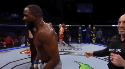 ufc 232 sport GIF by UFC