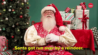 Santa Got Run Over By a Reindeer