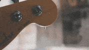 only rain mv safe to stay GIF by SideOneDummy Records