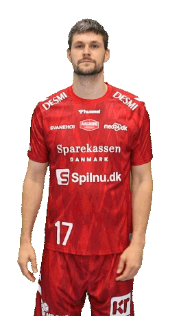 Martinlarsen Sticker by Aalborg Haandbold