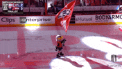 Happy Stanley Cup Playoffs GIF by NHL