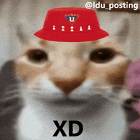 Liga De Quito Ldu GIF