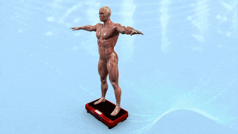jahnvito giphyupload GIF