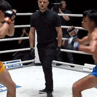 Aslam GIF