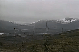season 1 GIF by Twin Peaks on Showtime