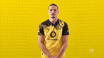 Borussia Dortmund Football GIF by Bundesliga