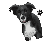 Pet Dog Sticker
