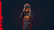 Red Bull F1 GIF by Red Bull Racing