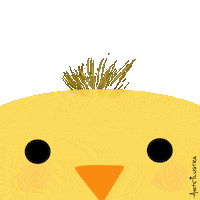 Blinking Pio Pio Sticker