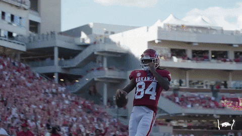 College Football Touchdown GIF by Arkansas Razorbacks