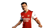 Celebrate London Sticker by Arsenal