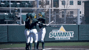North Dakota State Softball GIF by NDSU Athletics