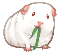Eat Guinea Pig Sticker