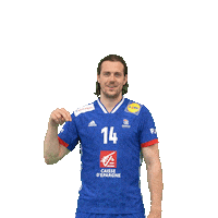 Ffhandball Sticker by Fédération Française de Handball