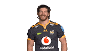 Rugby Sticker by Wasps