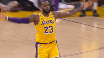 lebron james player court GIF by NBA