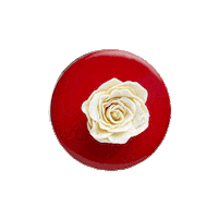 fabesovaiveta lemon czech lime pastry Sticker