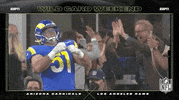 La Rams Football GIF by NFL