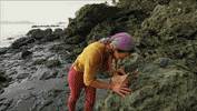 Happy Finale GIF by Survivor CBS