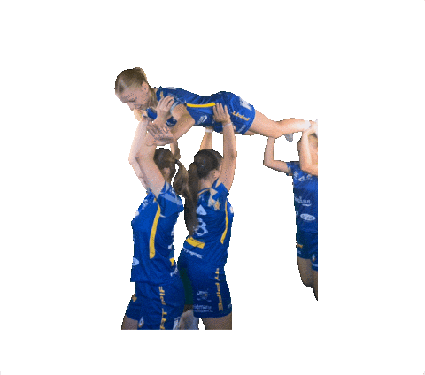 Kdjetsu21 Sticker by Kloten-Dietlikon Jets