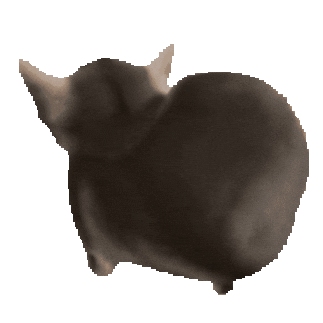 Cat Sticker