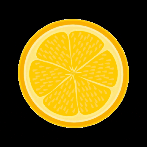 dancestudioonfire lifestyle lemon mevita mevitalifestyle GIF