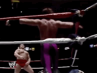 wrestlemania i wrestling GIF by WWE