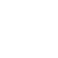 Bugs Barata Sticker by Comfort Door