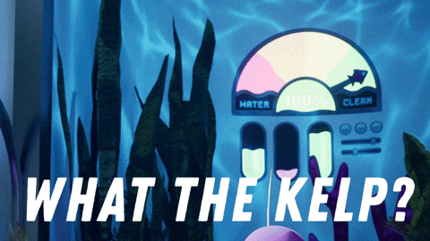 Whats Going On Wtf GIF by Wind Sun Sky Entertainment