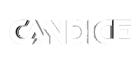 Dj Techno Sticker by NFIX CANDICE