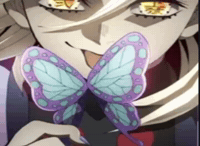 Kimetsu No Yaiba Demon Slayer GIF