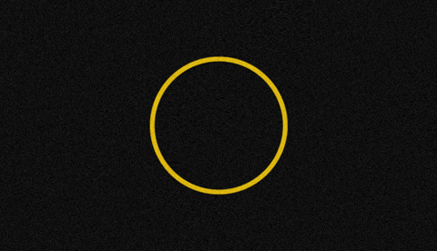 staubtaenzer giphygifmaker mtb streetwear mountainbike GIF