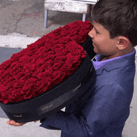 OnlyRoses love flowers romance valentines day GIF