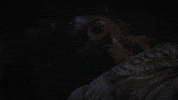 juliette barnes accident GIF by Nashville on CMT
