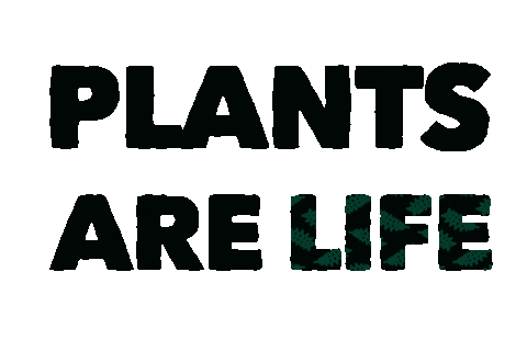 Sticker Text Sticker by CloudcamGIPHS