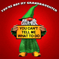 You Cant Tell Me What To Do GIF