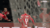 Football Celebration GIF by Standard de Liège
