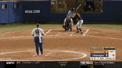 softball cougars GIF by NCAA Championships