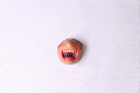 olivecouri happy smile joy spin GIF