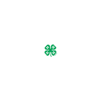 oklahomafourh clover 4h 4-h ok4h Sticker