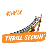 Theme Park Rollercoaster Sticker by Brown