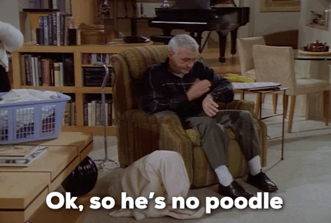 Poodle GIF by Paramount+
