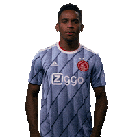 Ajax Amsterdam Sticker by AFC Ajax
